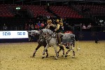 Quadrille - 00689